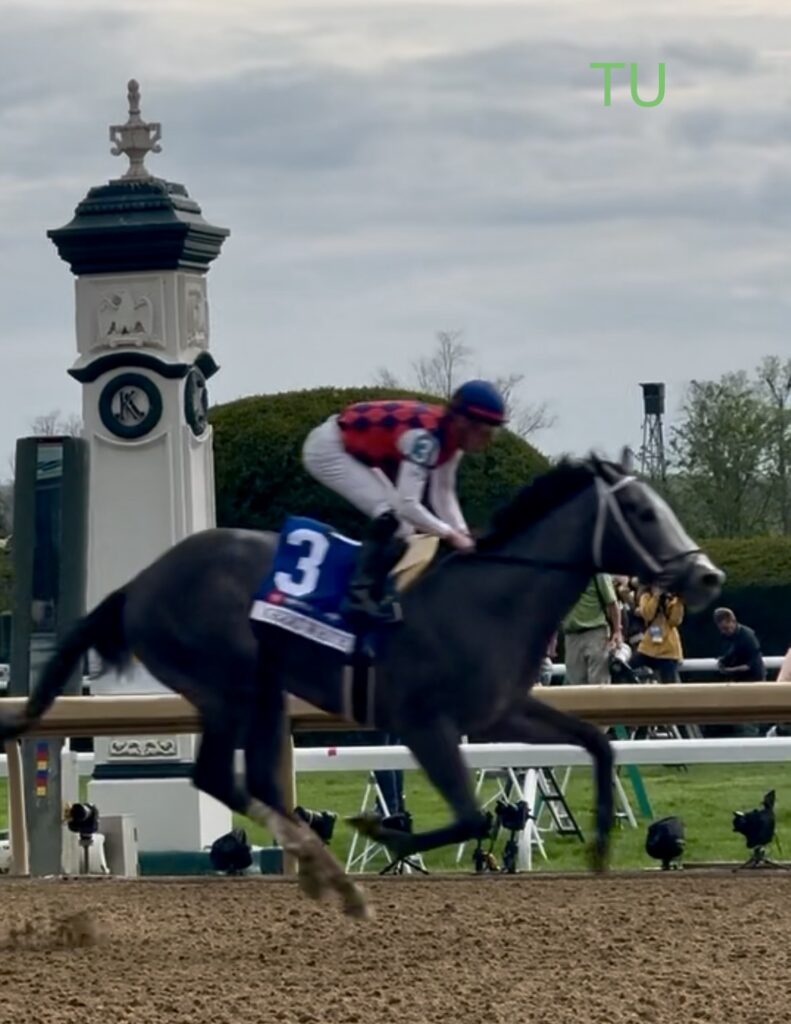 Great White could be the greatest.  He's entered in the 2020 Kentucky Derby.