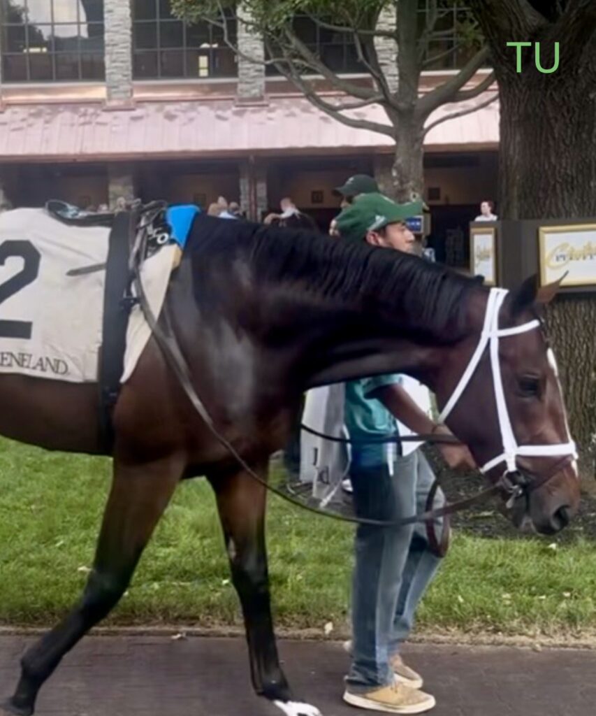 Commandment is ready to command the 152nd Kentucky Derby!