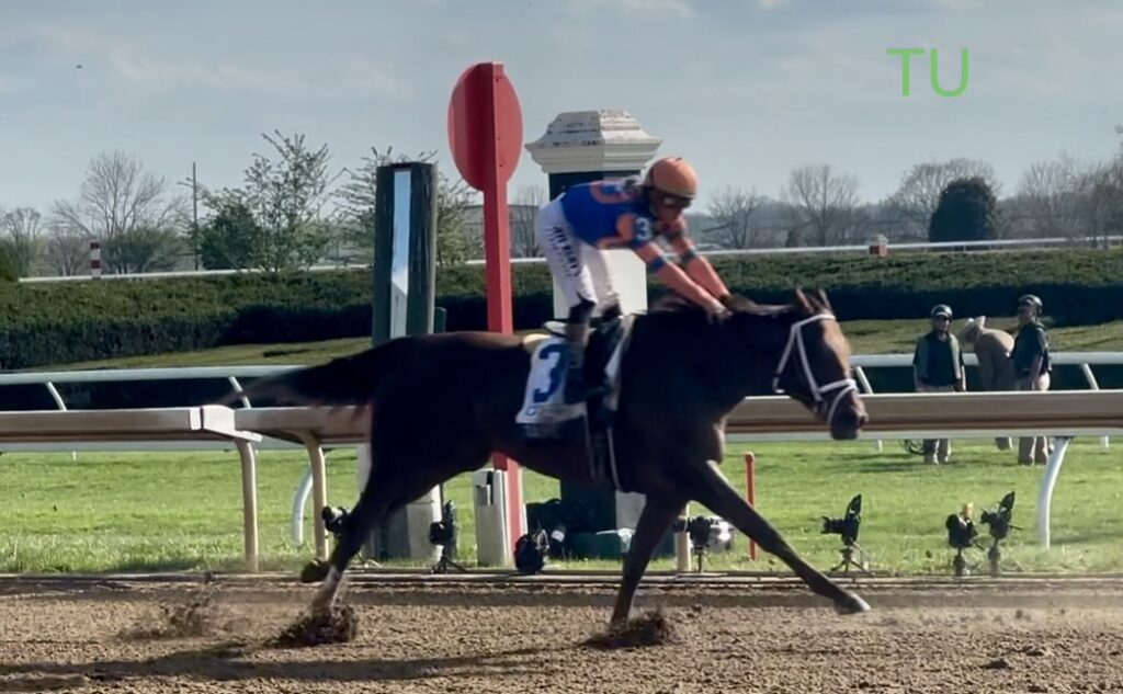 Zany loves the finish line.  See her race in the '26 Kentucky Oaks!