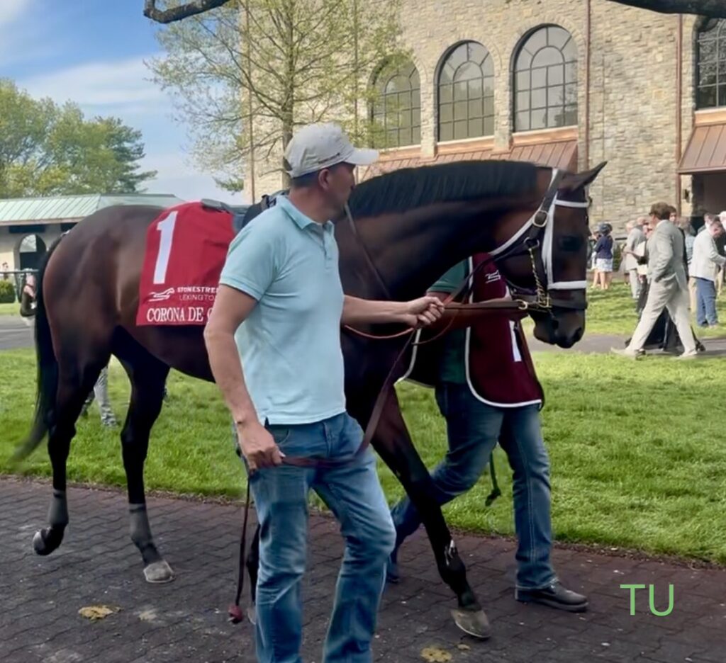 Corona de Oro says hold my beer as he is about to race the 151st Preakness Stakes.