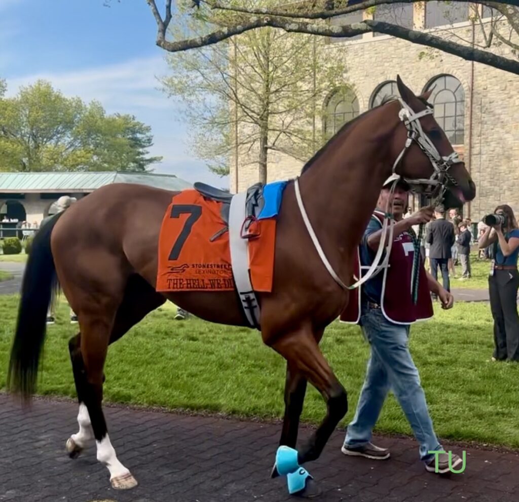 The Hell We Did is hungry for a win in the 2026 Preakness Stakes!