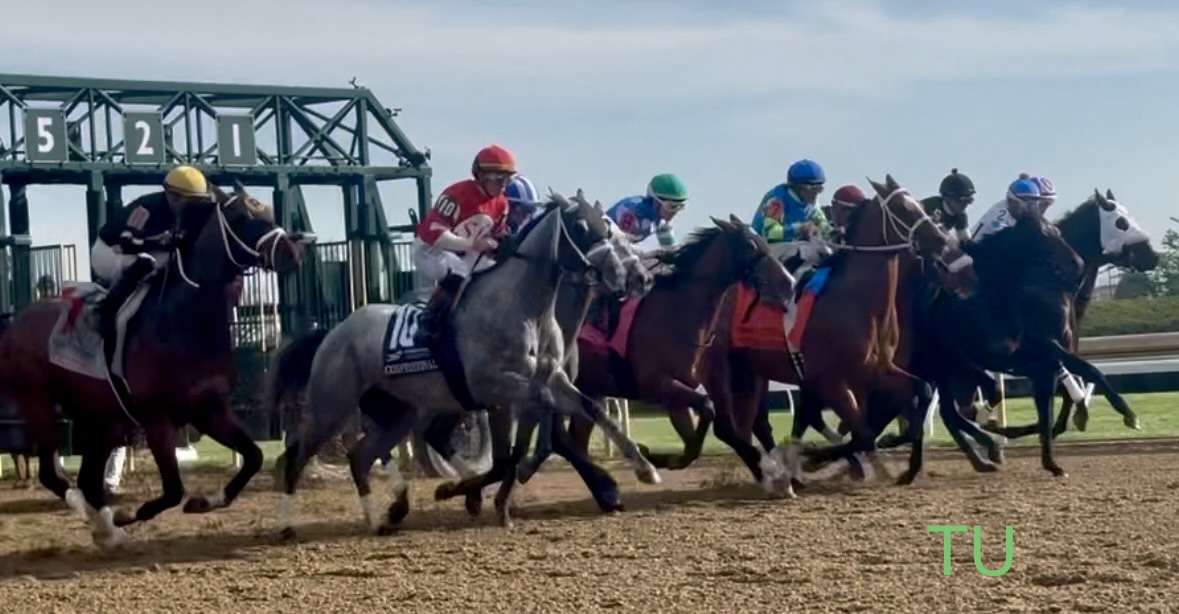 The Hell We Did and Corona de Oro will face off once more in the 2026 Preakness Stakes!