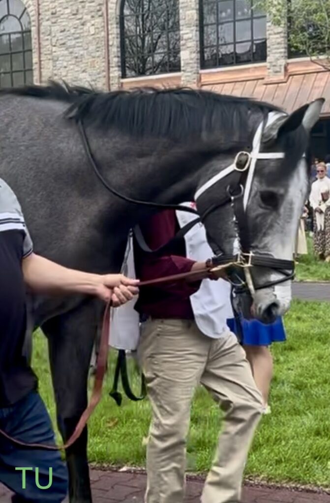 Great White gets an opportunity for redemption, in the Preakness, after his gate scratch at the Kentucky Derby!