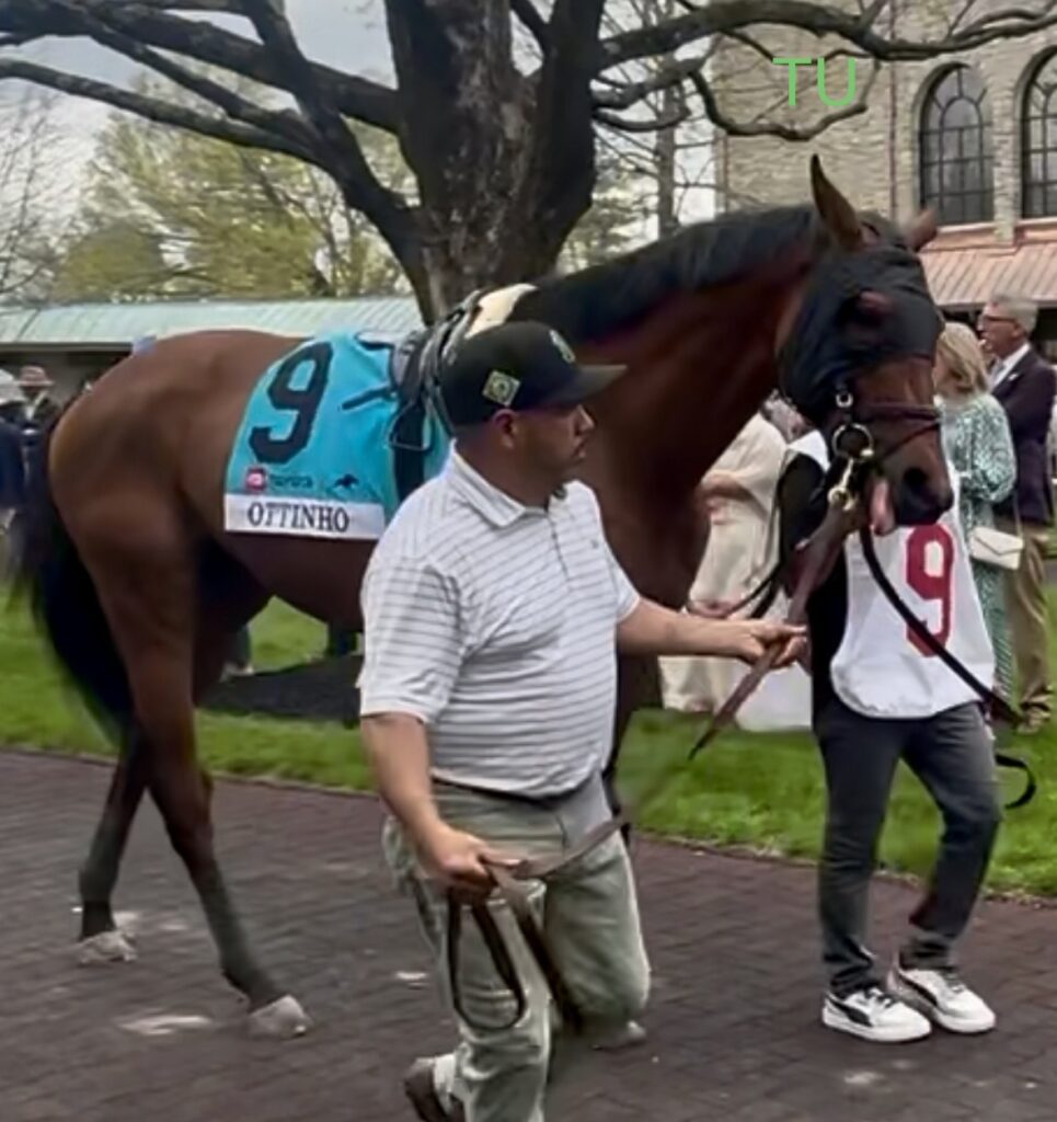 Ottinho ought to win the 2026 Belmont Stakes!