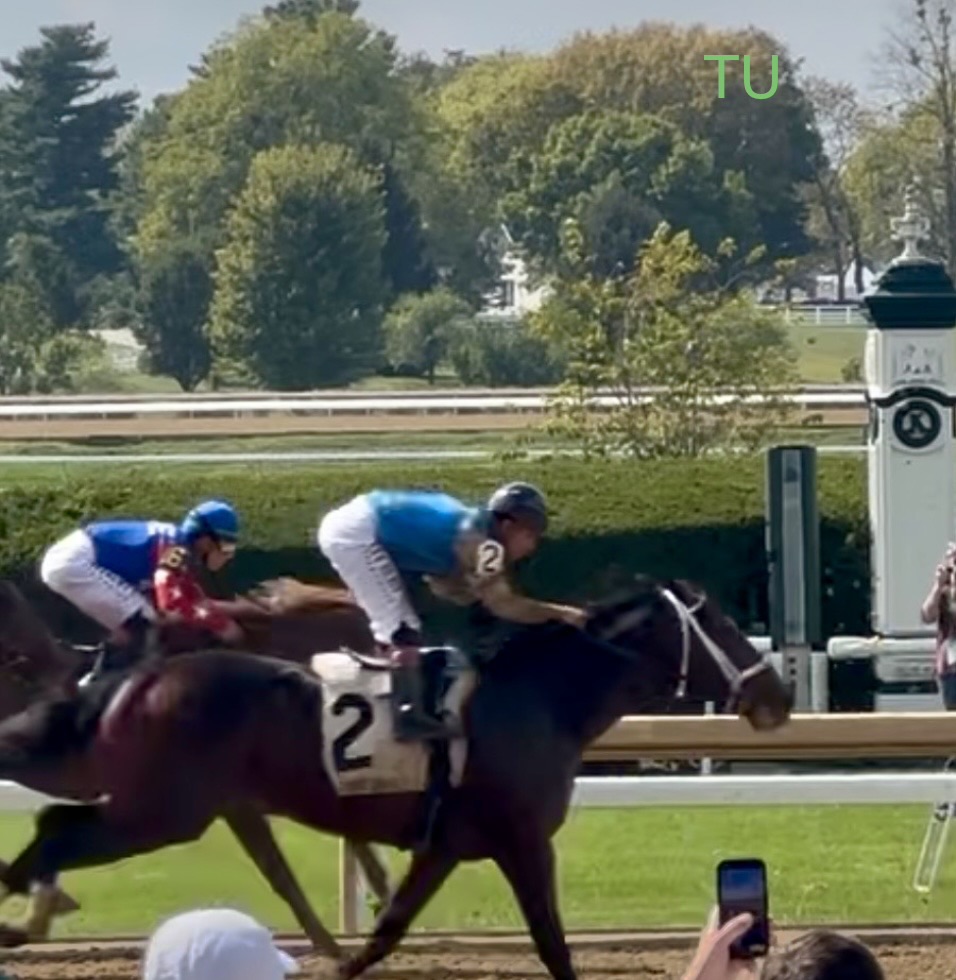 Commandment is up for commanding a win in the 2026 Belmont Stakes!