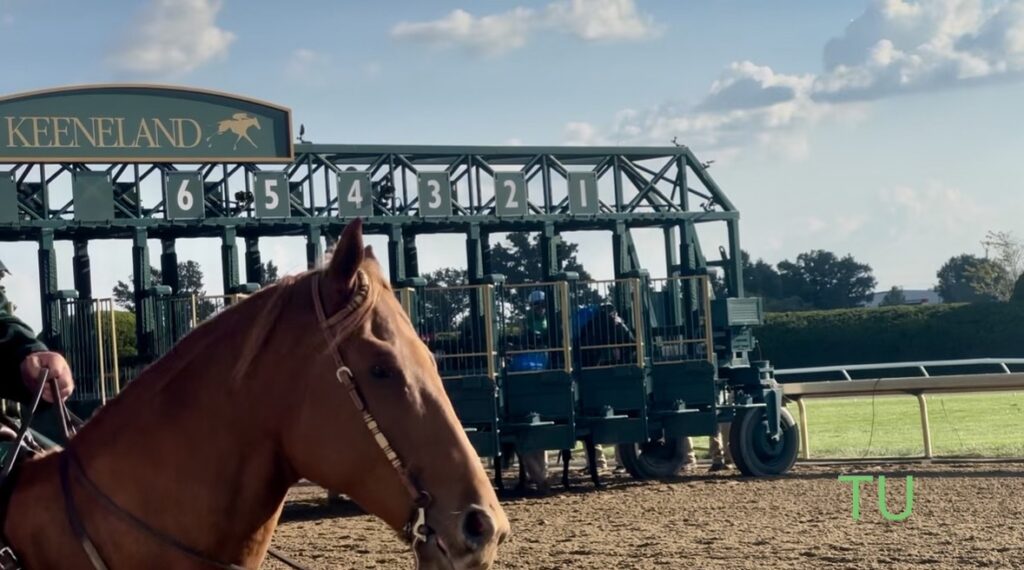 Keeneland's Fall meet is a compilation of all of the best things about horse racing.