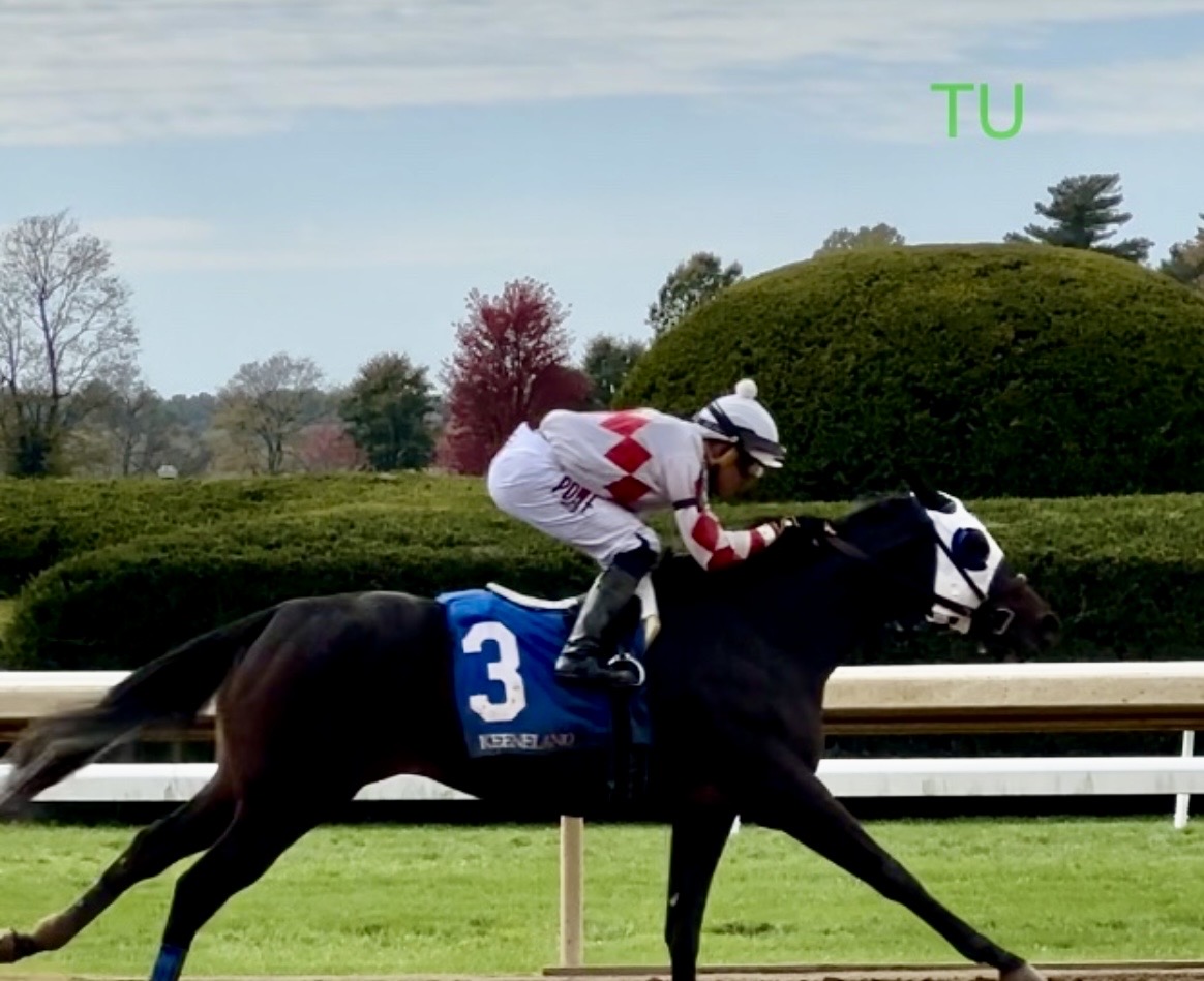 The Fall Meet is on at Keeneland, October 2026!